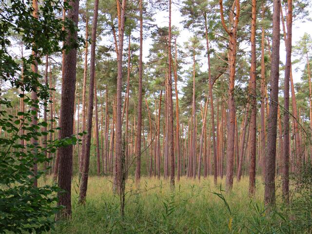 Impressionen | Foto: Brigitte Melder