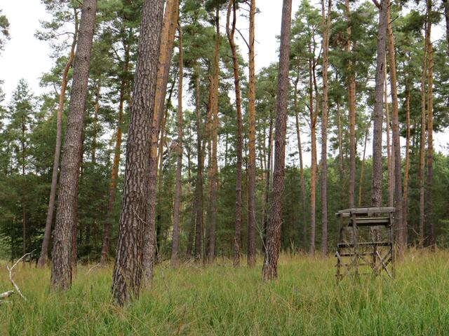 Impressionen | Foto: Brigitte Melder