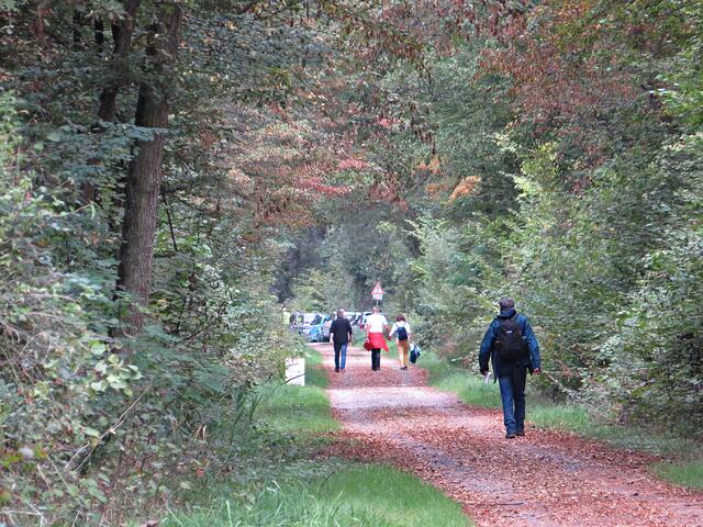 Impressionen | Foto: Brigitte Melder