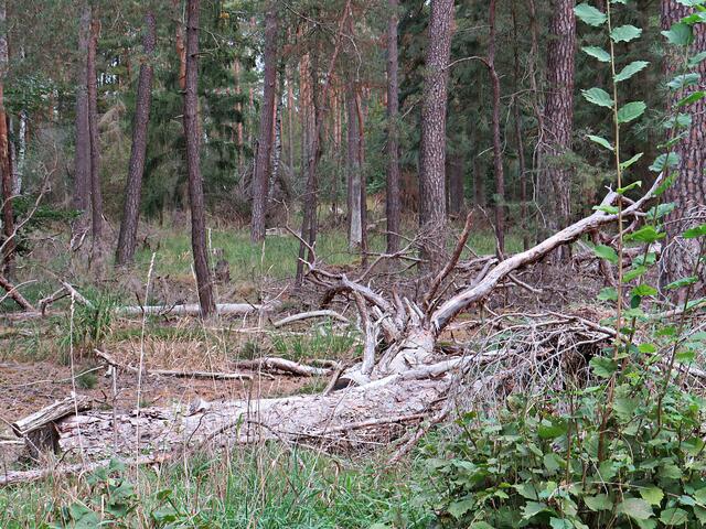 Impressionen | Foto: Brigitte Melder