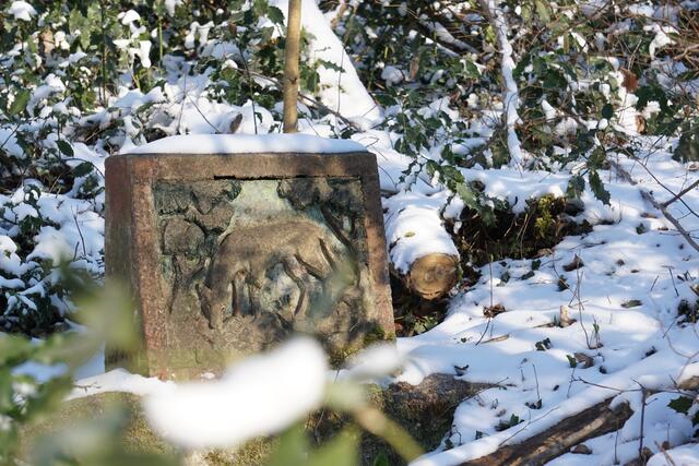 Motiv Dezember: Verschneite Wolfsquelle in Hagenbach | Foto: Michael Jochem