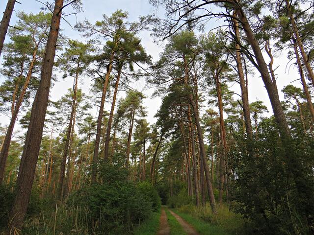 Impressionen | Foto: Brigitte Melder