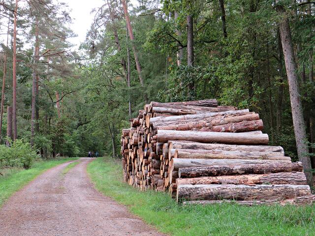 Impressionen | Foto: Brigitte Melder