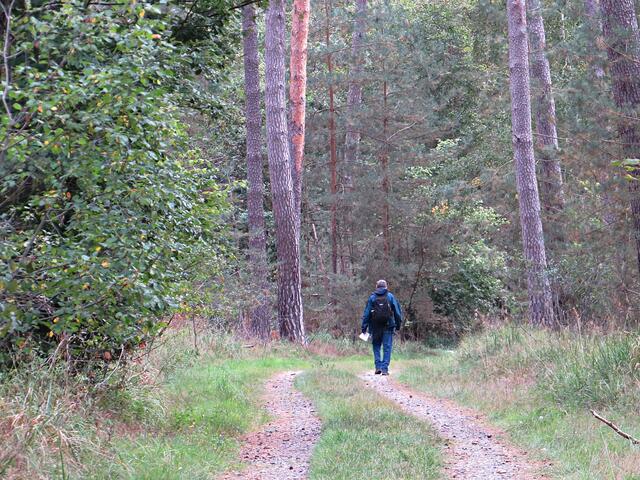 Herr Saur war alleine unterwegs | Foto: Brigitte Melder