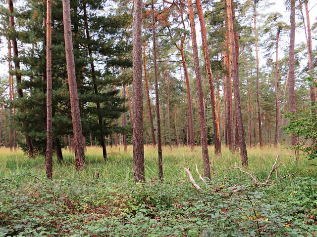 Impressionen | Foto: Brigitte Melder