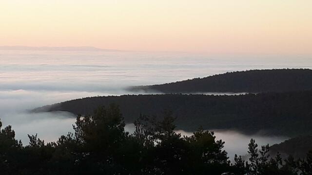 Blick vom Hohe Loog Haus über den Haardtrand und die Rheinebene | Foto: Markus Pacher