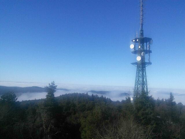 Kalmit | Foto: Tourist Maikammer