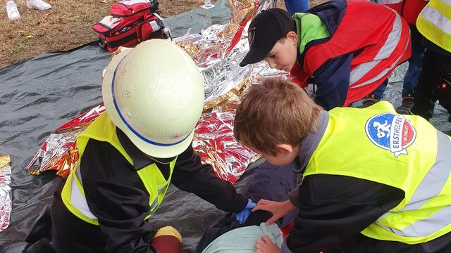 Foto: Alle Bilder (C) DRK