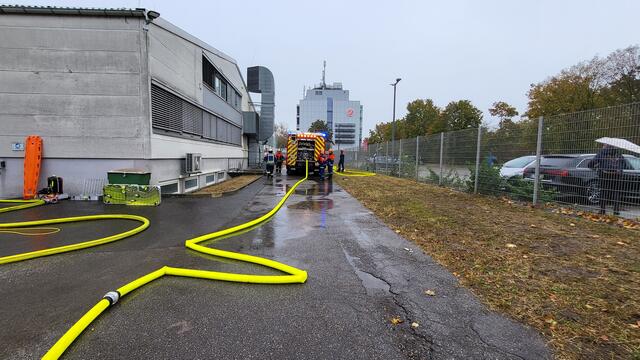 Foto: Alle Bilder (C) DRK