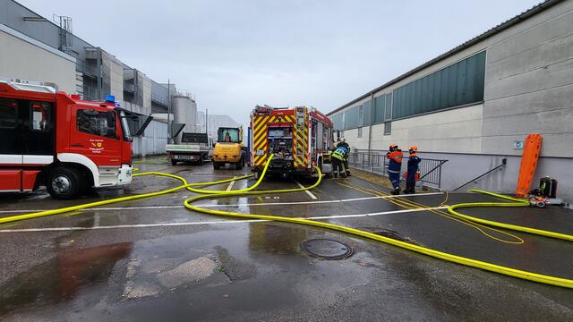 Foto: Alle Bilder (C) DRK