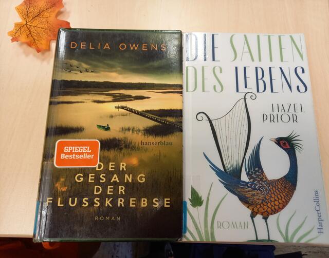 Plausch in der Bibliothek
Stadtteilbibliothek Mannheim-Friedrichsfeld | Foto: Carsta Vogel