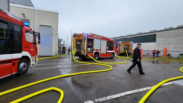 Foto: Alle Bilder (C) DRK