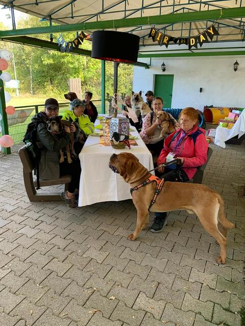 Zweiter Einsatz für die Soko Wuff, eine Krimiwanderung mit Hund | Foto: red