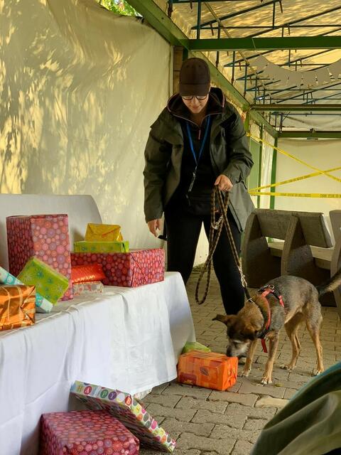 Zweiter Einsatz für die Soko Wuff, eine Krimiwanderung mit Hund | Foto: red