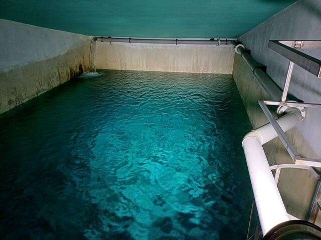 Foto: Verbandsgemeinde Maikammer