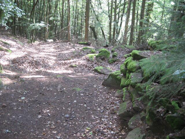 Ein Tor der Befestigung auf dem Orensberg | Foto: Übel