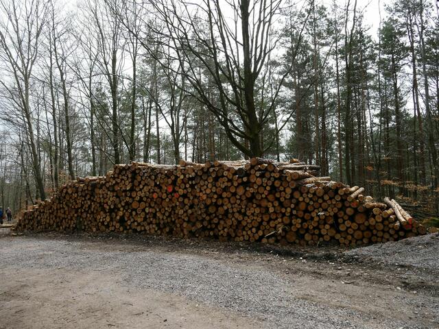 Foto: Jens Bramenkamp