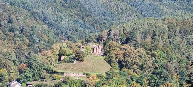 Blick auf die Burgruine Neidenfels  | Foto: Thomas Mann