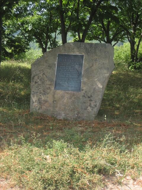Hinweistafel am Standort der Geisburg | Foto: Übel