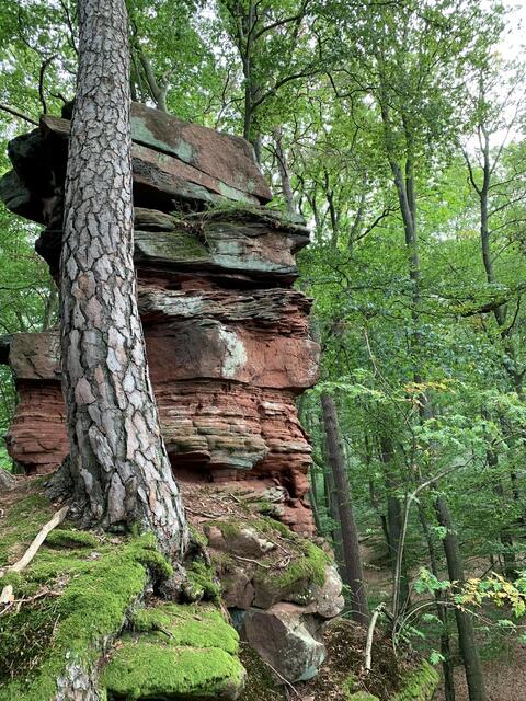 Atlasfelsen - Weidenthaler Tour  | Foto: Thomas Mann