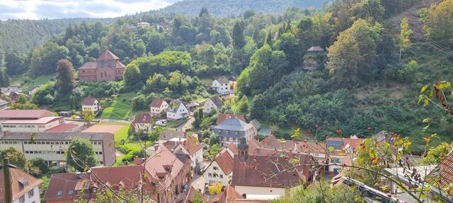 Blick auf Elmstein  | Foto: Thomas Mann