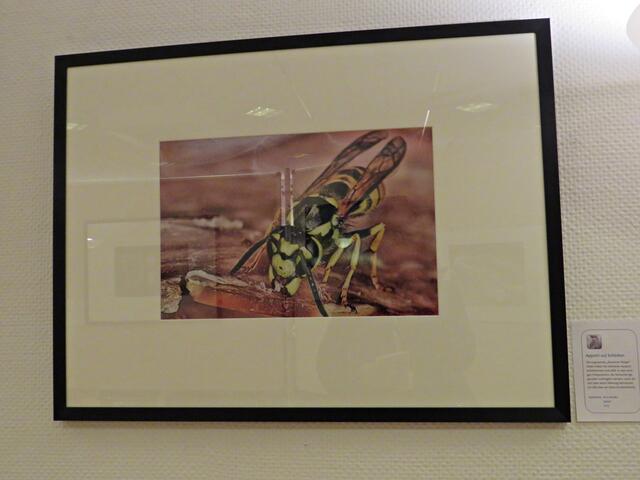 "Appetit auf Schinken" von Arno Becker | Foto: Brigitte Melder