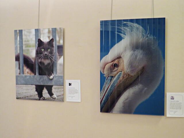 Impressionen | Foto: Brigitte Melder