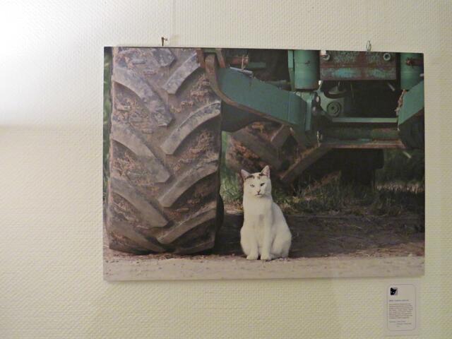 "Mein Traktor und ich" von Lothar Hensel | Foto: Brigitte Melder