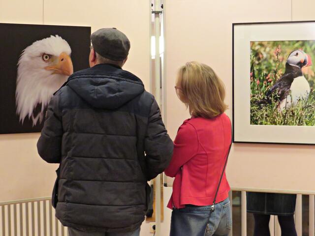 Da kann man schon genauer hinschauen zu diesem exzellenten Exemplar | Foto: Brigitte Melder