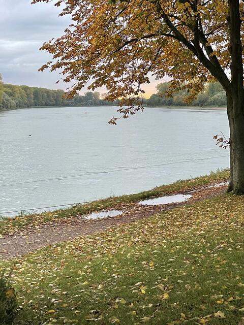 Wunderschöne Herbststimmung 🤩 | Foto: Speyer Leinpfad parkrun