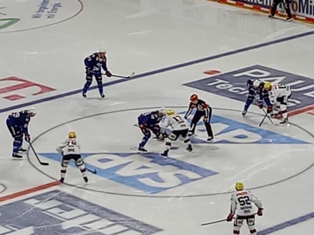 Adler Mannheim vs. Löwen Frankfurt, 31.10.2023 | Foto: Carsta Vogel