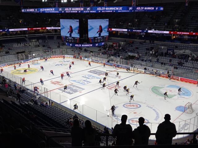 Adler Mannheim vs. Löwen Frankfurt, 31.10.2023 | Foto: Carsta Vogel