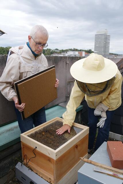 AG-Leiterin Nathalie Sion-Demmerle testet die Temperatur der Bienens-Sauna | Foto: Stefanie Seither
