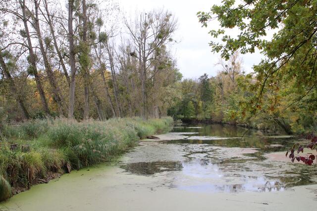 Aber auch der Mensch nimmt Einfluss auf die Gestaltung der Landschaft | Foto: Franz-Walter Mappes