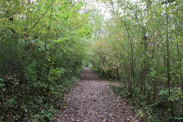 Ein gut angelegtes Wegenetz erlaubt dem Wanderer Einblicke in die Landschaft | Foto: Franz-Walter Mappes