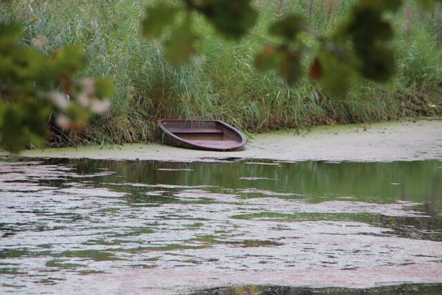 Und immer eine handbreit Wasser unterm Kiel | Foto: Franz-Walter Mappes