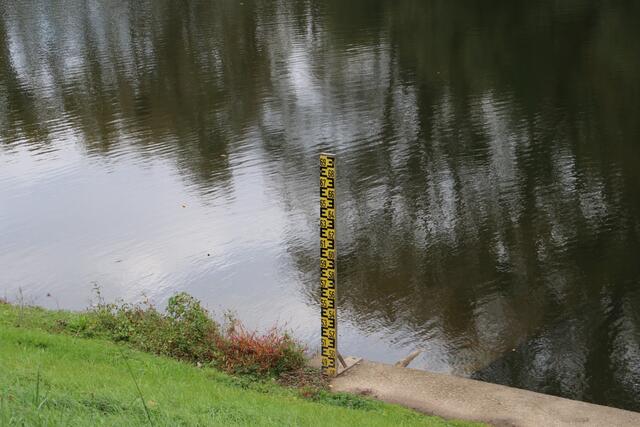 Jenseits des Deichs liegt das Überflutungsgebiet des Rheins | Foto: Franz-Walter Mappes