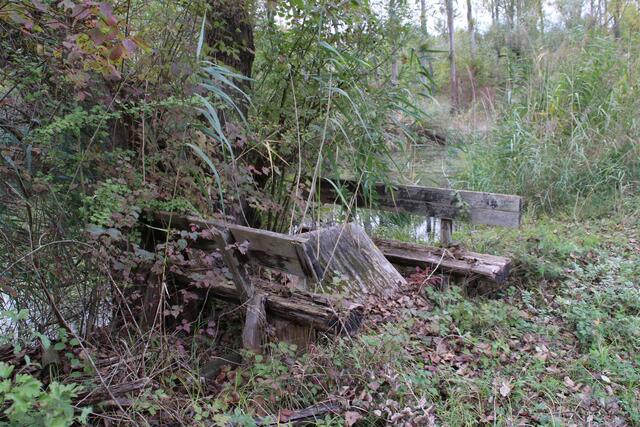 Nichts bleibt für immer | Foto: Franz-Walter Mappes