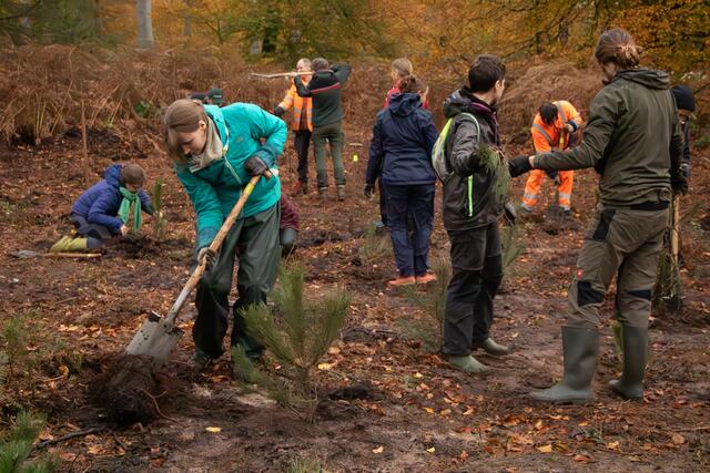 Mit Spaß und Engagement bei der Sache 30 junge Menschen aus Deutschland und Frankreich pflanzen gemeinsam 4.500 Bäume im Grenzgebiet | Foto: Heike Schwitalla