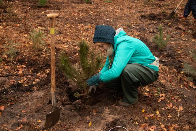 Mit Spaß und Engagement bei der Sache 30 junge Menschen aus Deutschland und Frankreich pflanzen gemeinsam 4.500 Bäume im Grenzgebiet | Foto: Heike Schwitalla
