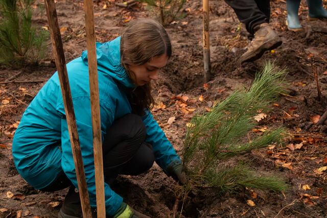 Mit Spaß und Engagement bei der Sache 30 junge Menschen aus Deutschland und Frankreich pflanzen gemeinsam 4.500 Bäume im Grenzgebiet | Foto: Heike Schwitalla