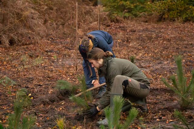 Mit Spaß und Engagement bei der Sache 30 junge Menschen aus Deutschland und Frankreich pflanzen gemeinsam 4.500 Bäume im Grenzgebiet | Foto: Heike Schwitalla