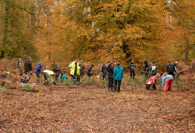 Mit Spaß und Engagement bei der Sache 30 junge Menschen aus Deutschland und Frankreich pflanzen gemeinsam 4.500 Bäume im Grenzgebiet | Foto: Heike Schwitalla