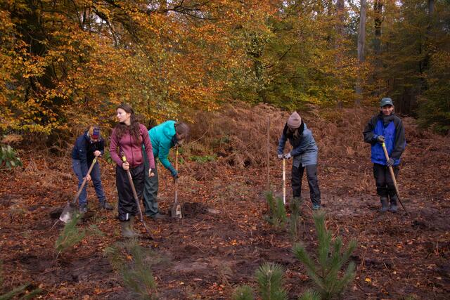 Mit Spaß und Engagement bei der Sache 30 junge Menschen aus Deutschland und Frankreich pflanzen gemeinsam 4.500 Bäume im Grenzgebiet | Foto: Heike Schwitalla