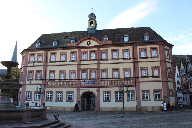 Rathaus Neustadt | Foto: Pacher, Markus