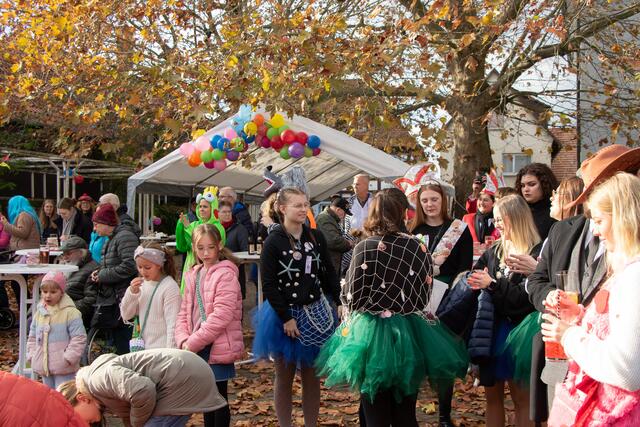 das närrische Wörth feiert den 11.11.  | Foto: Heike Schwitalla