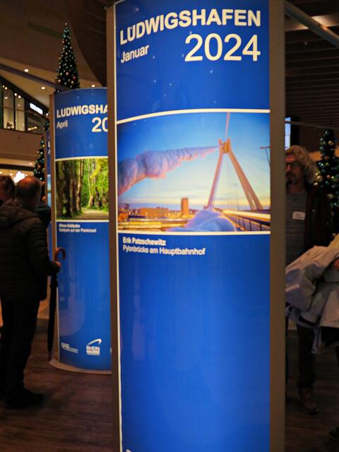 Pylonbrücke am Hauptbahnhof | Foto: Brigitte Melder