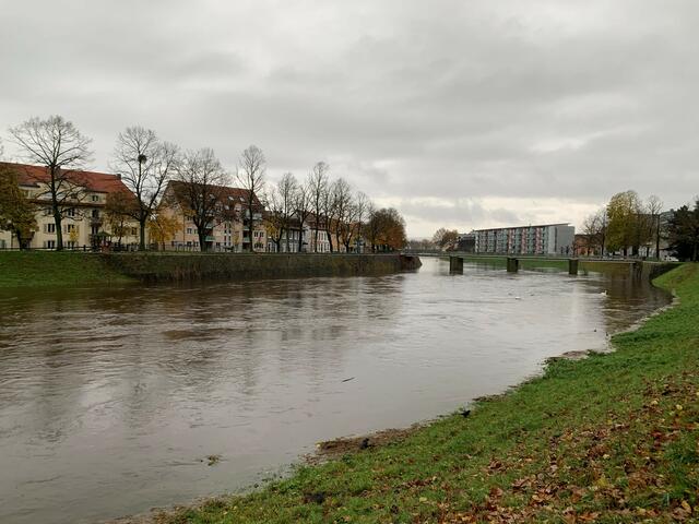 Das Murgvorland in Rastatt ist derzeit komplett überschwemmt. Eine akute
Gefahrenlage besteht allerdings nicht.  | Foto: Stadt Rastatt/Isabelle Joyon