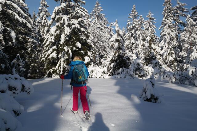 Hochkopf-Nordschwarzwald | Foto: Michael Bartholomaeus
