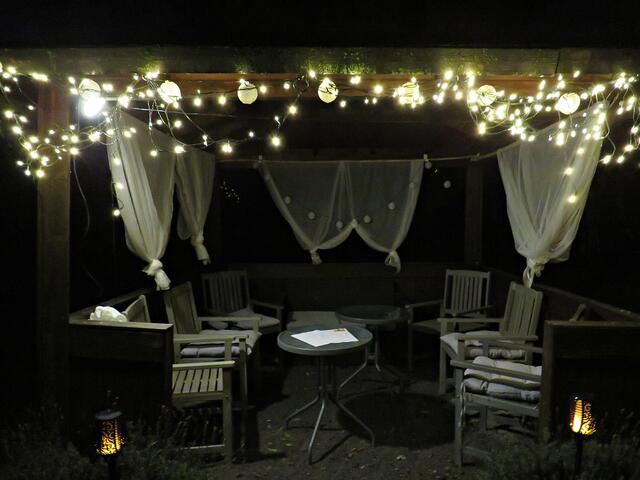 Impressionen im Garten | Foto: Brigitte Melder